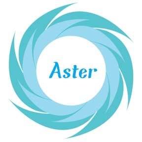 ASTER INFOTECH CO WLL